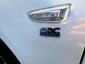 Opel Insignia OPC LINE**PANO**LEDER**HUD**SPORTSEATS**18"ALU Blanc - thumbnail 4