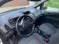 Ford B-Max B-Max 1.4 Gpl 86cv Bianco - thumbnail 11