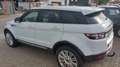 Land Rover Range Rover Evoque Prestige Blanc - thumbnail 7