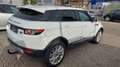 Land Rover Range Rover Evoque Prestige Blanc - thumbnail 9