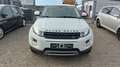 Land Rover Range Rover Evoque Prestige Blanc - thumbnail 2