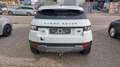 Land Rover Range Rover Evoque Prestige Blanc - thumbnail 8