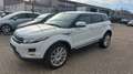 Land Rover Range Rover Evoque Prestige Blanc - thumbnail 1
