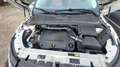 Land Rover Range Rover Evoque Prestige Blanc - thumbnail 16