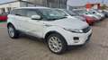 Land Rover Range Rover Evoque Prestige Blanc - thumbnail 3
