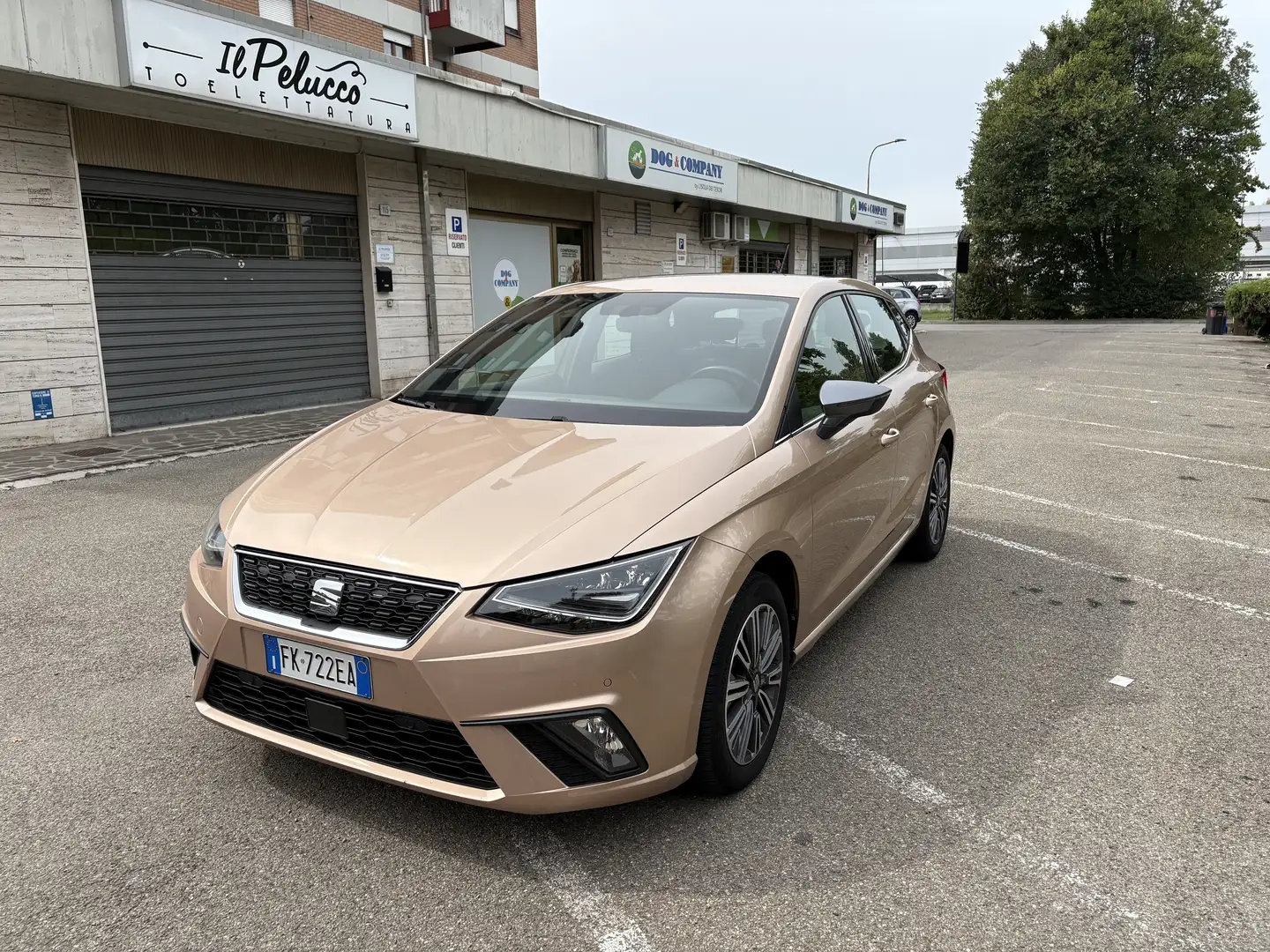 SEAT Ibiza 1.0 Xcellence 75cv - 1