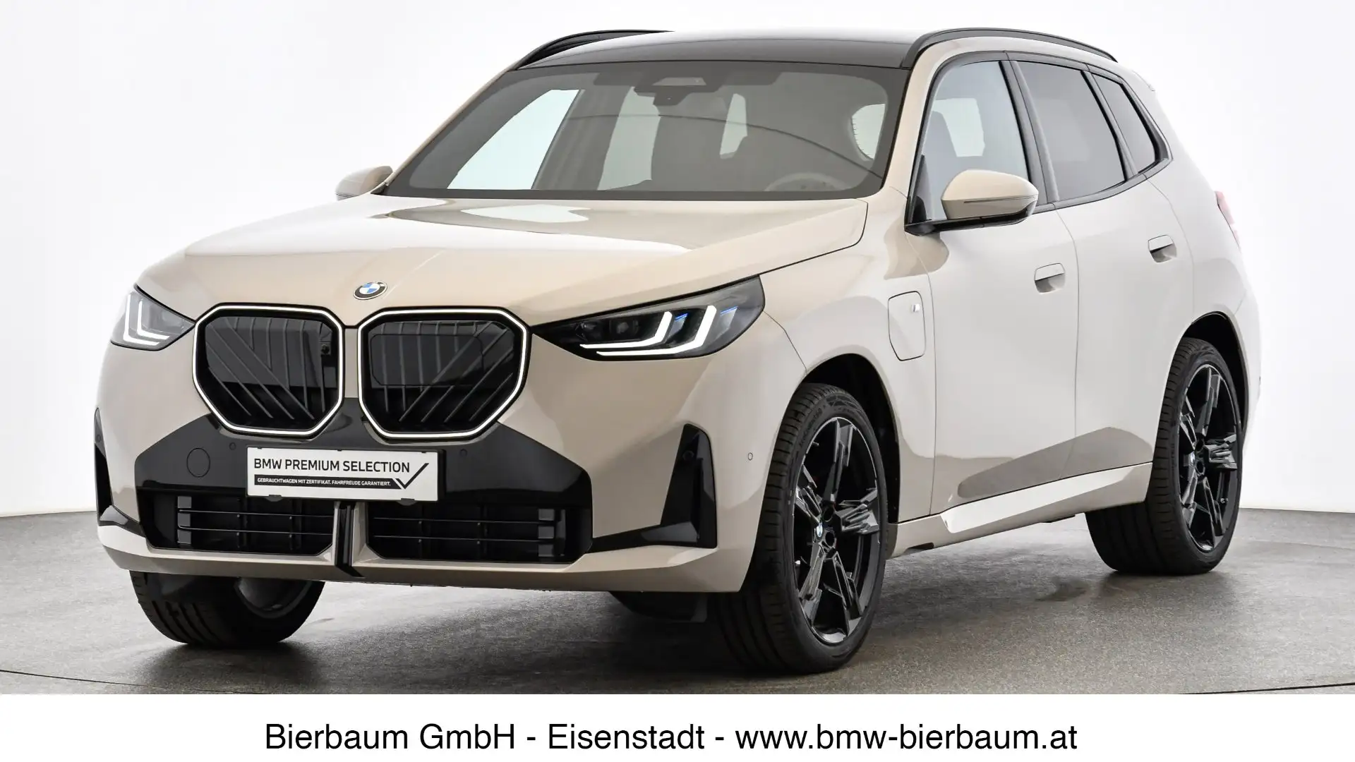 BMW X3 30e xDrive Grau - 1