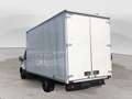 Iveco Daily CHASSISCAB Bianco - thumbnail 2