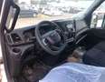 Iveco Daily CHASSISCAB Bianco - thumbnail 5