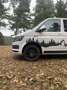 Volkswagen T6 Transporter Kurz BlueMotion Weiß - thumbnail 8