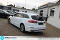 Ford Mondeo Turnier 2,0 EcoBlue Auto LEDER=NAVI=PANOR Weiß - thumbnail 20