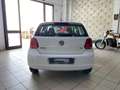 Volkswagen Polo Polo 1.2 TDI DPF 5 p. Comfortline - garantita Blanc - thumbnail 4