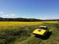 Saab Sonett III Amarillo - thumbnail 2