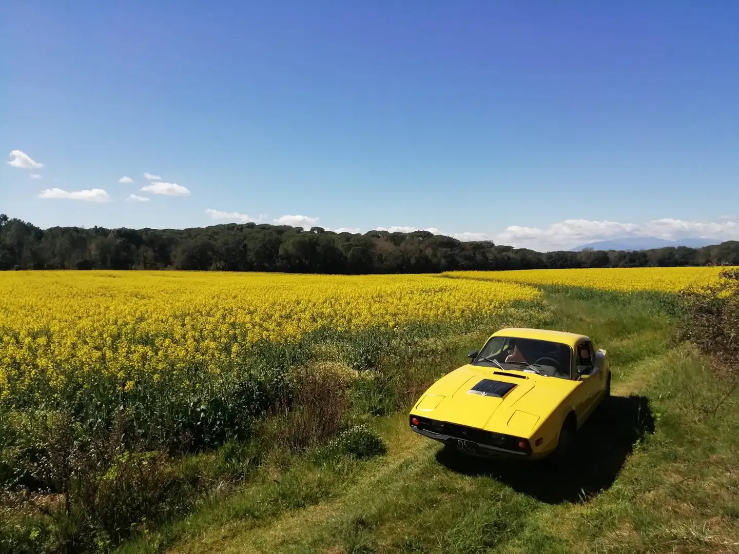 Saab Sonett III Amarillo - 2