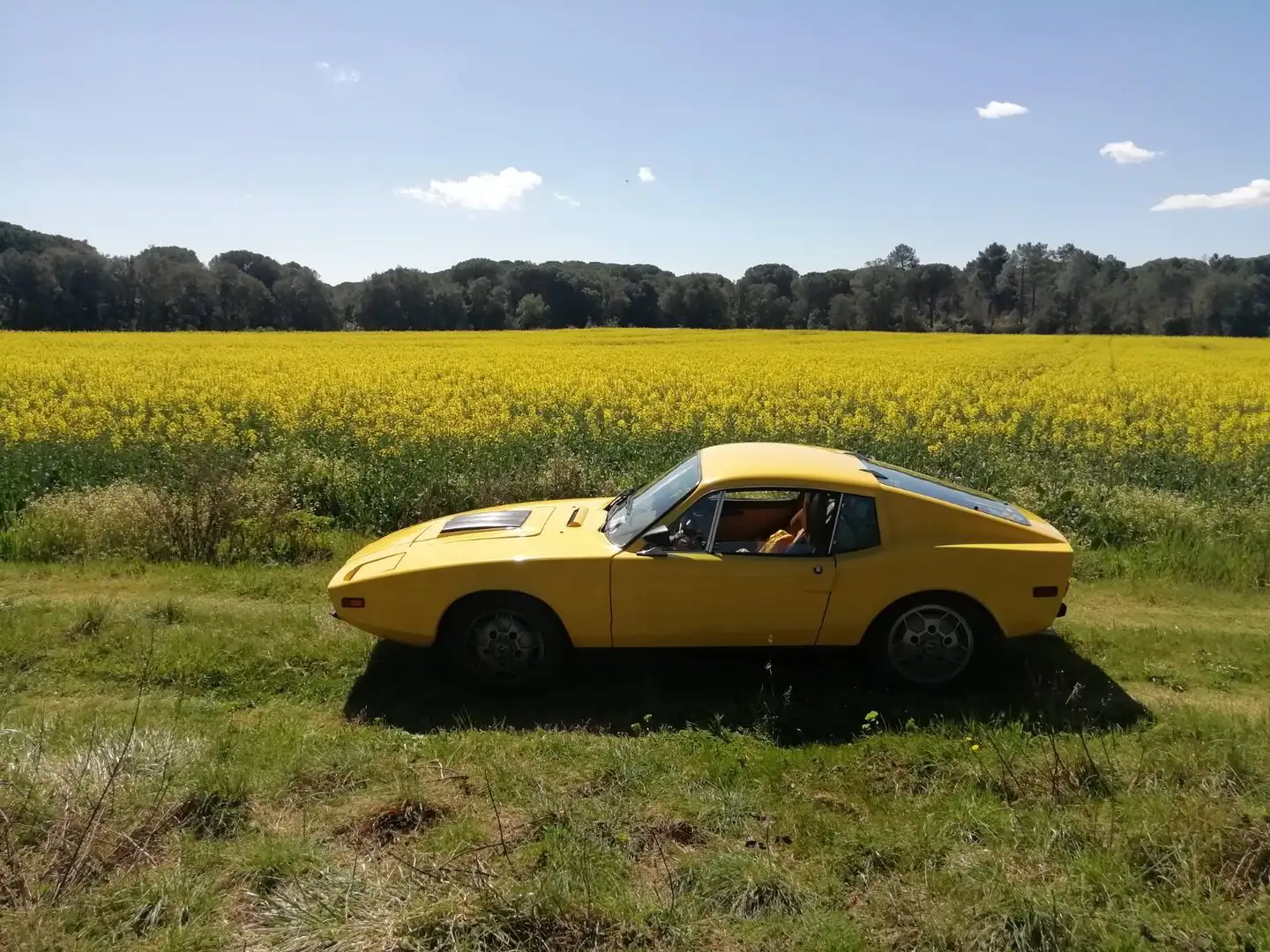 Saab Sonett III Amarillo - 1