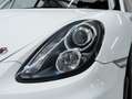 Porsche Cayman GT4 Clubsport PDK Wit - thumbnail 12