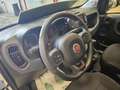 Fiat Panda Panda III  Cross 1.0 firefly hybrid Cross s Bianco - thumbnail 9