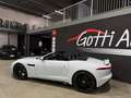 Jaguar F-Type R-DYNAMIC SPYDER IVA ESPOSTA UFFICIALE ITALIANA Wit - thumbnail 4