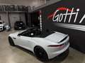 Jaguar F-Type R-DYNAMIC SPYDER IVA ESPOSTA UFFICIALE ITALIANA Wit - thumbnail 5