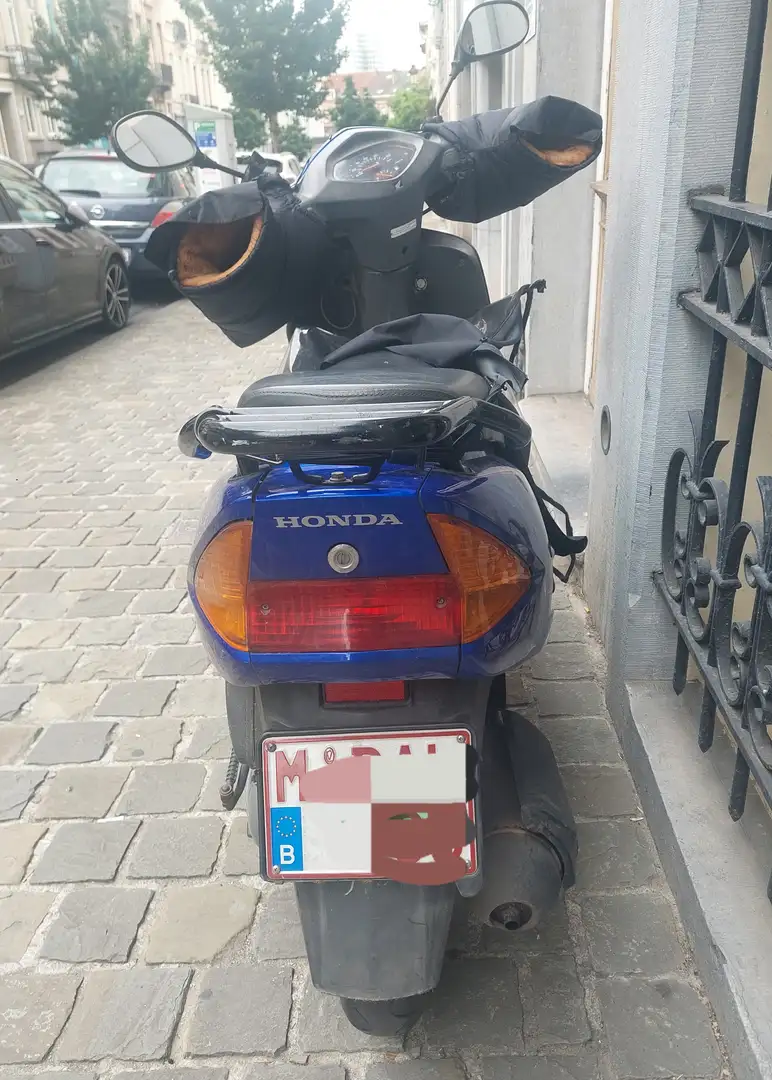 Honda Lead Honda Lead Scv 100 Blau - 2