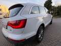 Audi Q7 3.0 TDI quattro / 7 Sitze Weiß - thumbnail 14
