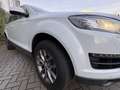 Audi Q7 3.0 TDI quattro / 7 Sitze Weiß - thumbnail 17