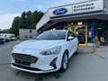Ford Focus Focus Turnier 1.0 TREND, Klima, LM-Felgen, Reeling Weiß - thumbnail 3