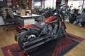 Indian Scout Rogue ICON COPPER sofort Rot - thumbnail 8