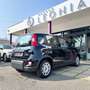 Fiat Panda 1.0 firefly hybrid s&s 70cv chilometri zero! Schwarz - thumbnail 6