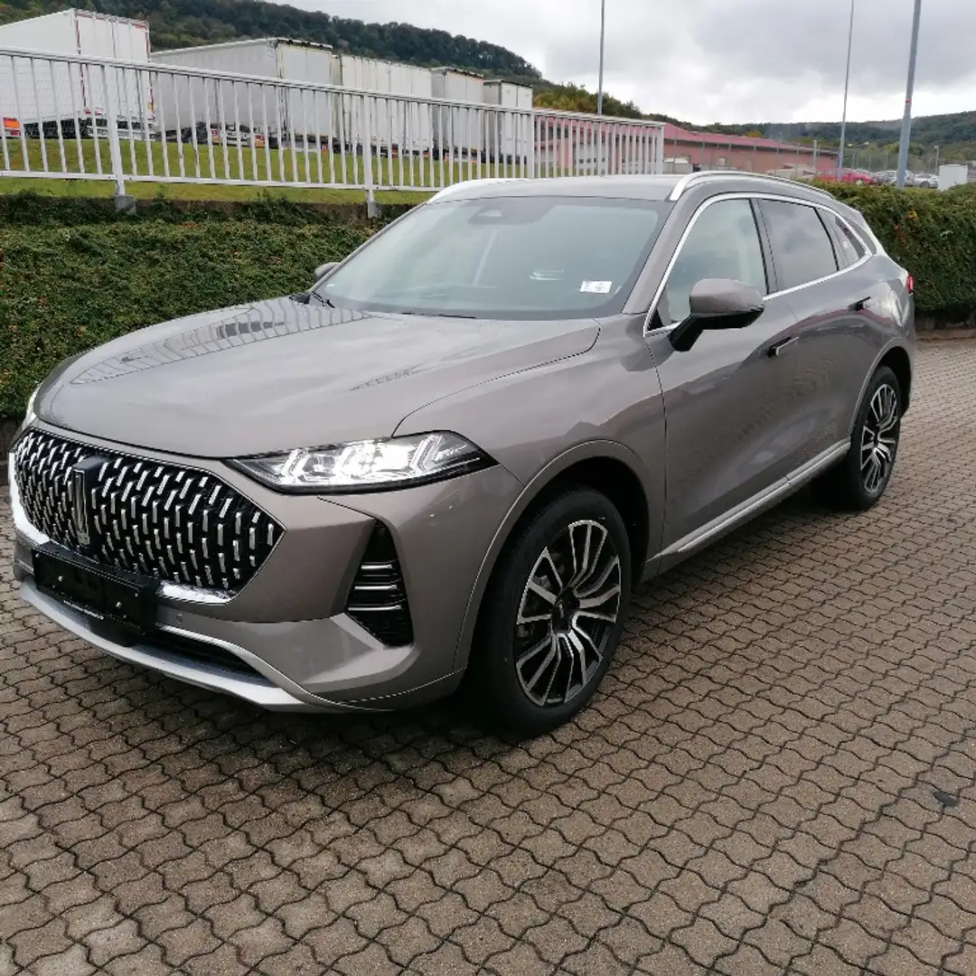 GWM WEY 05 Premium Grijs - 2