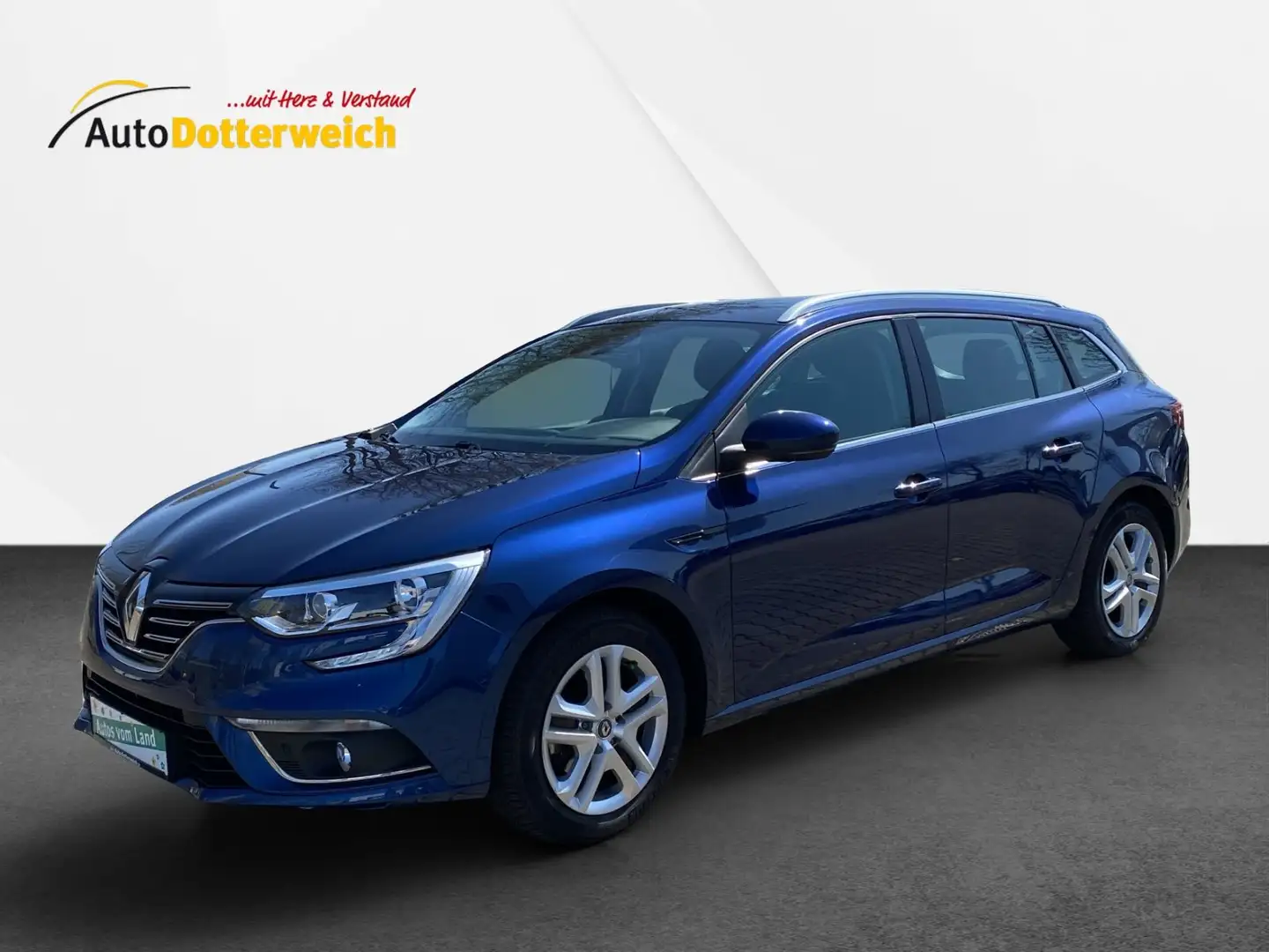 Renault Megane Business Edition Navi, SHZ, Klimaaut. Blue - 1