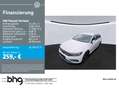 Volkswagen Passat Variant 2.0 TDI DSG Business PremiumPaket Weiß - thumbnail 1