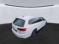 Volkswagen Passat Variant 2.0 TDI DSG Business PremiumPaket Weiß - thumbnail 3