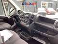 Citroen Jumper 2.2 HDi 140cv E6 L4 H2 Heavy Furgone Business PLTM Blanc - thumbnail 12