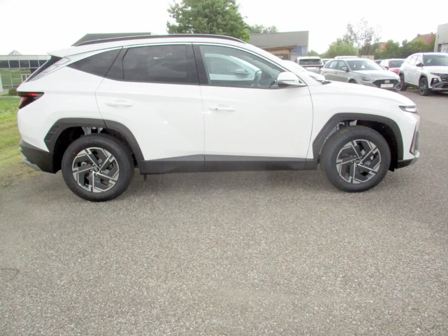Hyundai TUCSON NX4 Jubile 1,6 T-GDi 2WD 48V t5bj1 Weiß - 2