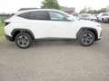 Hyundai TUCSON NX4 Jubile 1,6 T-GDi 2WD 48V t5bj1 Weiß - thumbnail 2