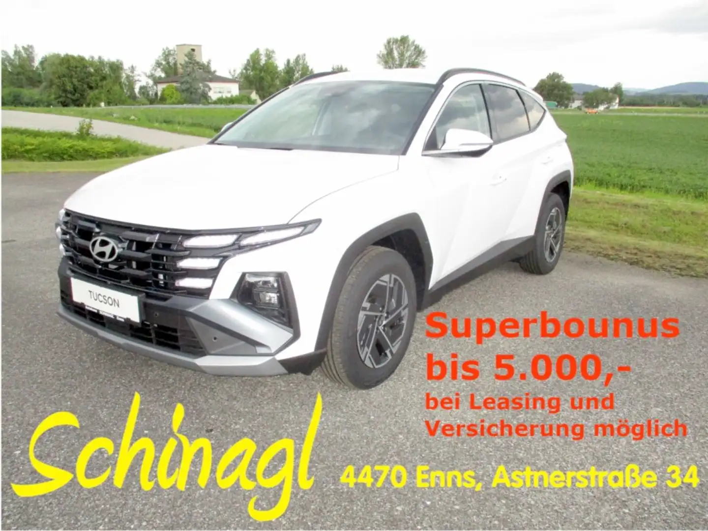 Hyundai TUCSON NX4 Jubile 1,6 T-GDi 2WD 48V t5bj1 Weiß - 1