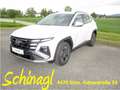 Hyundai TUCSON NX4 Jubile 1,6 T-GDi 2WD 48V t5bj1 Weiß - thumbnail 1