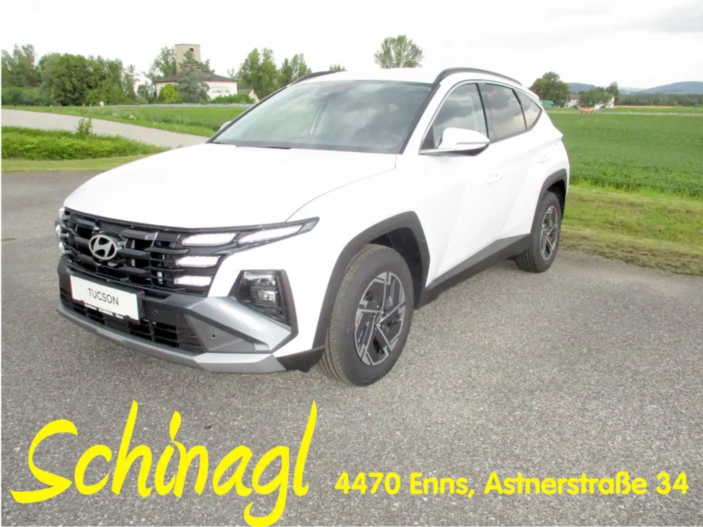 Hyundai TUCSON NX4 Jubile 1,6 T-GDi 2WD 48V t5bj1 Weiß - 1