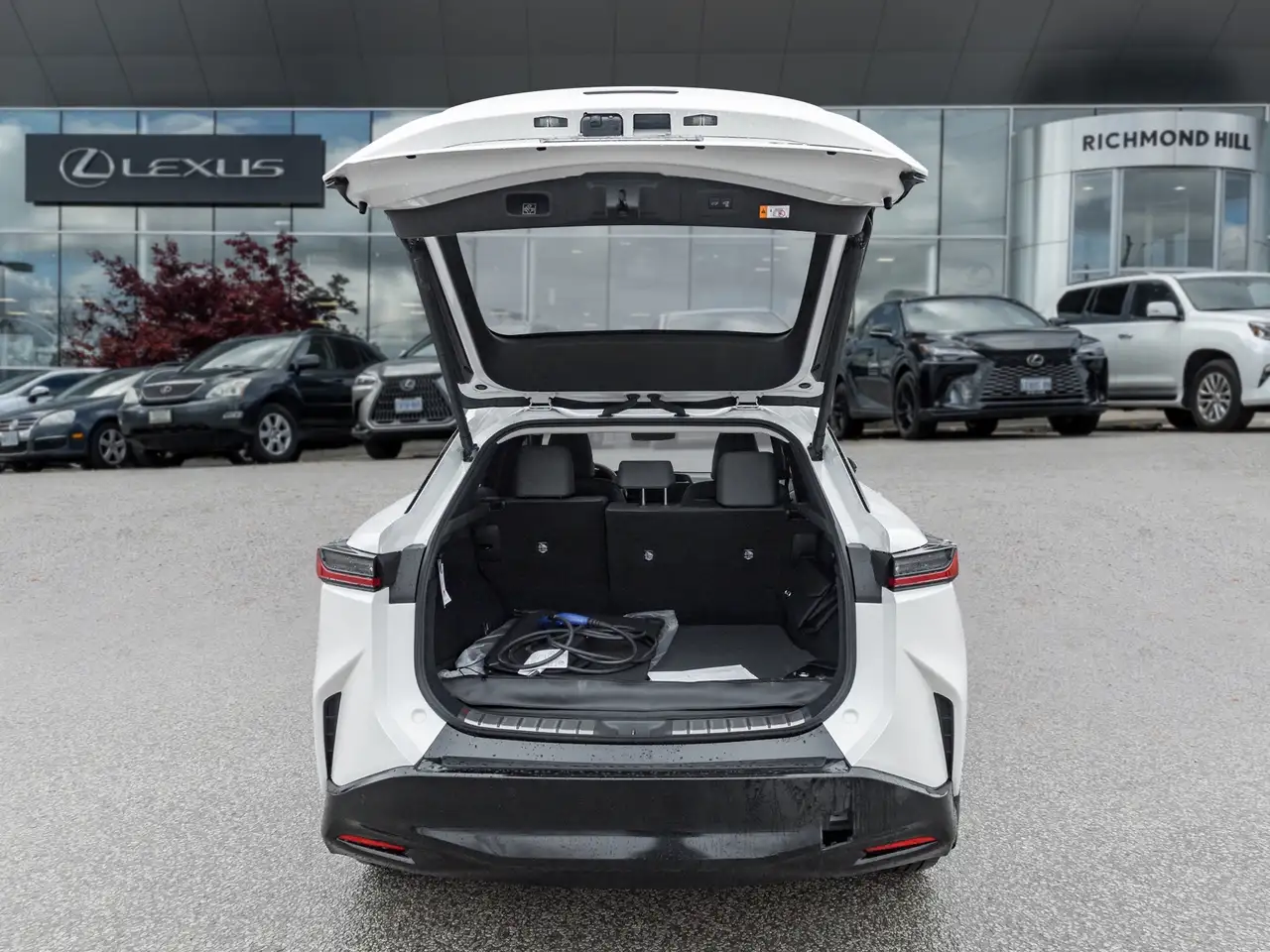 Lexus RZ снимка Lexus RZ