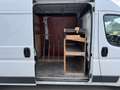 Fiat Ducato Ducato Maxi L2H2 Natural Power Weiß - thumbnail 14