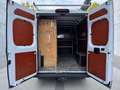 Fiat Ducato Ducato Maxi L2H2 Natural Power Weiß - thumbnail 11
