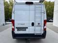 Fiat Ducato Ducato Maxi L2H2 Natural Power Weiß - thumbnail 10