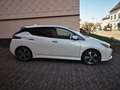 Nissan Leaf 40 kWh N-Connecta Navi Sitzheitzung vorne Weiß - thumbnail 5