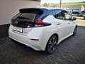 Nissan Leaf 40 kWh N-Connecta Navi Sitzheitzung vorne Weiß - thumbnail 6