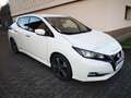 Nissan Leaf 40 kWh N-Connecta Navi Sitzheitzung vorne Weiß - thumbnail 4