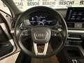 Audi Q5 SPORTBACK 2.0 TDI quattro S tronic Advanced Bianco - thumbnail 13