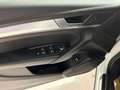Audi Q5 SPORTBACK 2.0 TDI quattro S tronic Advanced Bianco - thumbnail 7