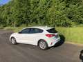 Ford Focus 1.0 EcoB. Tr Edition bns Wit - thumbnail 4