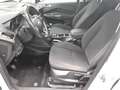 Ford C-Max 1.5 TDCi Cool&Connect 2-Sitze AHK PDC Blanc - thumbnail 8